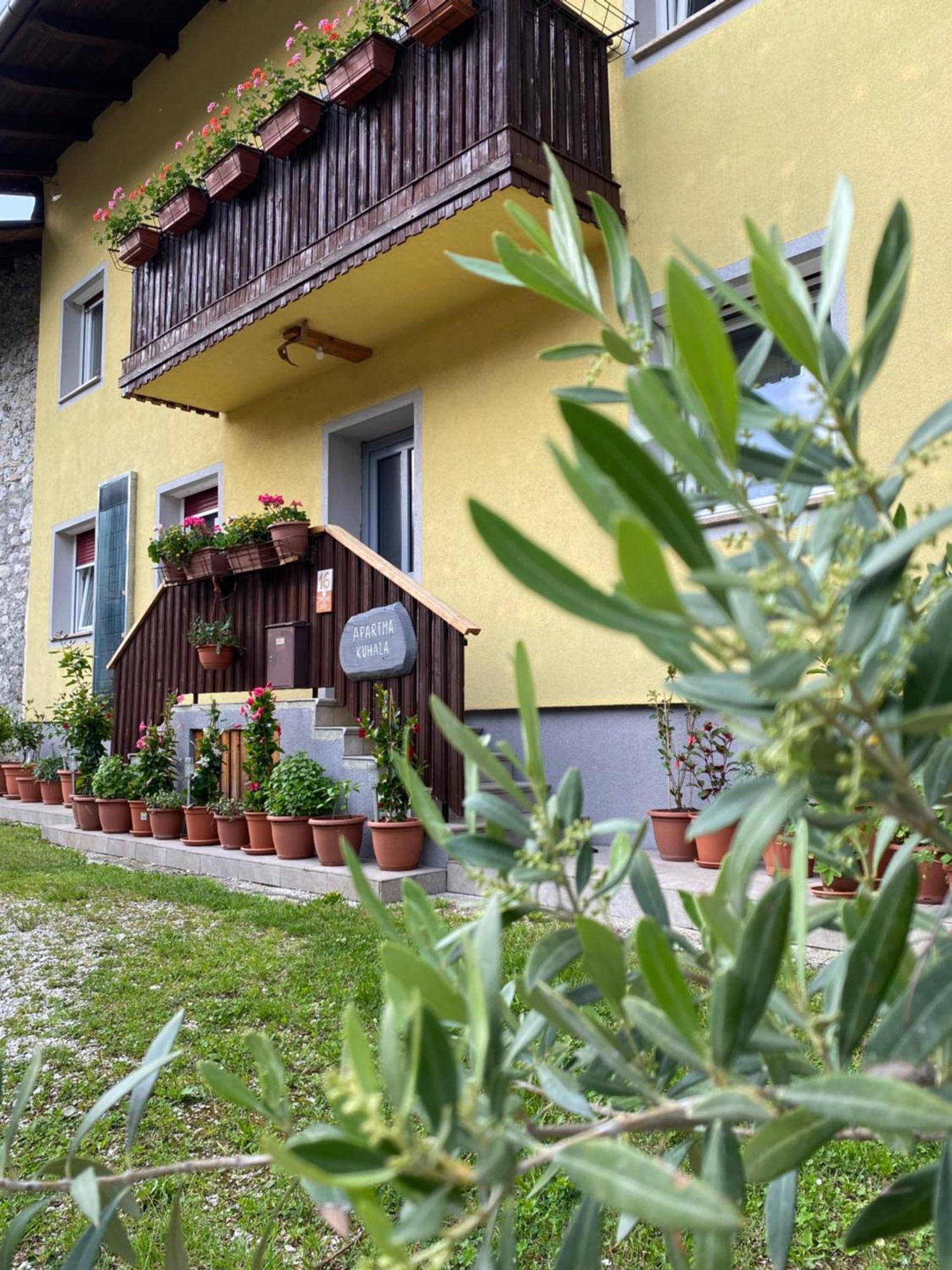 Trnovo Ob Soci Kuhala Apartment โคบาริด ภายนอก รูปภาพ